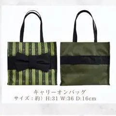 しまむら ちはる ハッピーバッグ ディズニー アナ キャリーオンバッグのみ