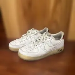 【限定】NIKE AIR FORCE 1 BETRUE 27.0cm