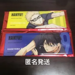 ハイキュー トレーディング スクエアロング缶バッジ 影山飛雄 月島蛍