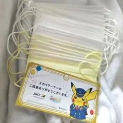 ピカチュウマスク 個包装 1枚 不織布マスク 14枚 まとめ売り セット スカイ