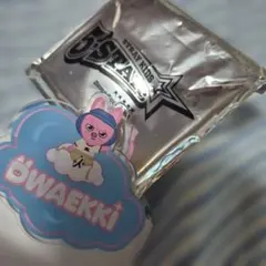 STRAY KIDS 5STAR 　DWAEKKI　トェッキ　ネームバッジ