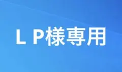 L P様専用　PS5 デュアルセンス カスタム コントローラー 背面ボタン