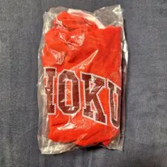 THE FIRST SLAM DUNK メッシュエコバッグ ※ポーチ無し※