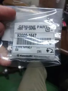 Kawasaki KLX250SR テールランプレンズ・スクリューセット