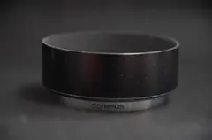 Item thumbnail for item 6974561b-81a1-4f00-8614-33ecf0ce0b5b