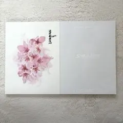 Snow Man パンフレット 2冊セット