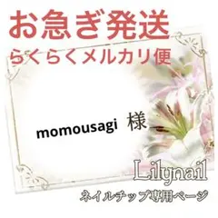 momousagi 様専用❤︎.*