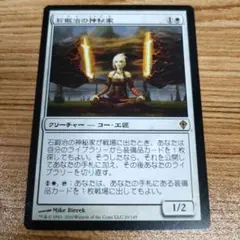 2025年最新】石鍛治の神秘家の人気アイテム - メルカリ