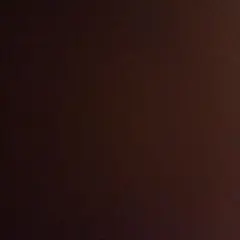 ラムレーズン様専用ページ