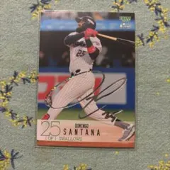 50枚限定　2024BBM 2nd 東京ヤクルト　サンタナ　ホロ箔サイン