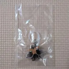 仮面ライダー ガチャガチャ めじるしアクセサリー5