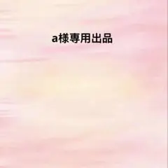 a様専用出品