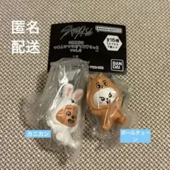 straykids スキズ SKZOO ガチャガチャ つまんでつなげてますこっと