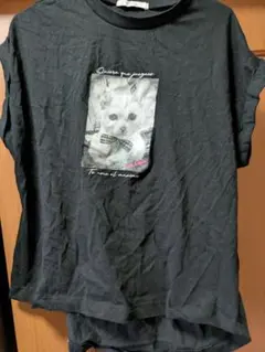 Item thumbnail for item 482dee77-2e24-4514-84e6-3f69ebe57526