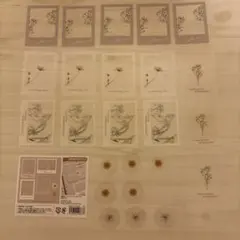 シール ステッカー フレークシール 花 ドライフラワー 推し活 シンプル