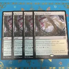 Razorverge Thicket 剃刀境の茂み 4枚 MTG 英語