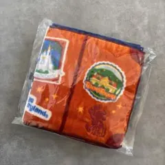 新品未使用⭐︎バケーションパッケージ ミニタオル ３枚