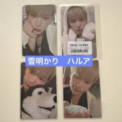 &TEAM 雪明かり ハルア トレカ4枚セット