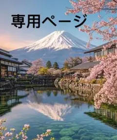 専用ページ
