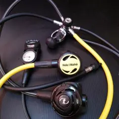 Item thumbnail for item 00728b5c-38db-48a0-9275-22df2d8c0ea5