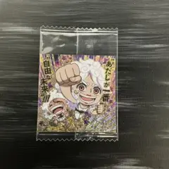 ワンピース ウエハース シール 13弾 ルフィ＆ボニー