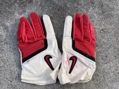 Item thumbnail for item 12cfc135-b0b5-4ad2-b1fe-357a1ecb1a93