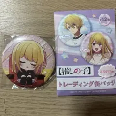 ルビー　トレーディング缶バッジ おでかけ