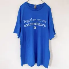 １点もの✨ ギルダン クルーネック 半袖 Tシャツ L 青 綿 カジュアルのサムネイル
