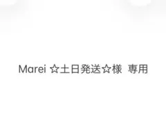 Marei☆土日発送☆様 リクエスト 2点 まとめ商品
