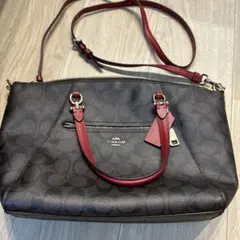 ダークブラウン バッグ