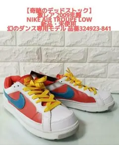 NIKE AIR TROUPE LOW 2008年製 デッドストック