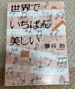 世界でいちばん美しい　藤谷治 横原悠毅 IMP. IMPACTors TOBE