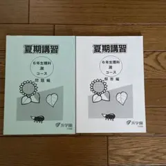 2026年最新】浜学園 夏期講習 小6の人気アイテム - メルカリ