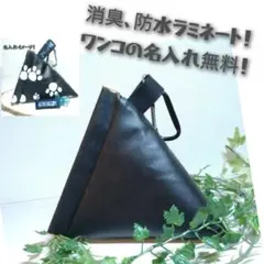 Item thumbnail for item 452f995b-213b-46f1-8dd2-f762b1e75cac