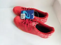 アシックス フットサルシューズ ゴムソール 25.5㎝