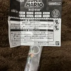 スーパーマリオ　めじるしアクセサリー　ルイージ