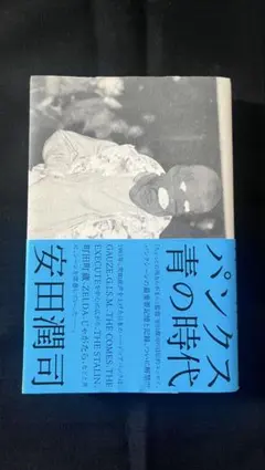 安田潤司 パンクス 青の時代