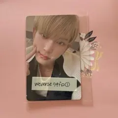 &TEAM HARUA 雪明かり ラキドロ