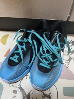 NIKE フリーク6
