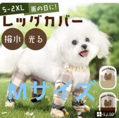 Item thumbnail for item 74204565-9638-431f-8056-b736066f1b06