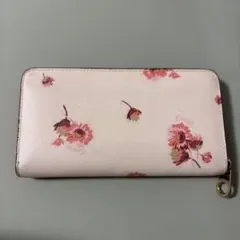 Item thumbnail for item 348df75b-11cf-4c3a-a546-abb997e6f738