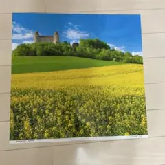 Item thumbnail for item bbc32516-964c-446a-98a4-addd0e32e867