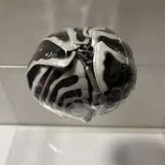 いきもの大図鑑アドバンスダンゴムシ ゼブラダンゴムシのサムネイル