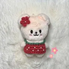 スキズ skzoo スンミン パピーム いちご10cmぬい服