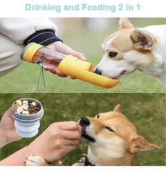 Item thumbnail for item 8ca6cbf0-97fc-483c-8280-d931fed662f1