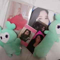 TWICE ミナ　MINA 写真集　ぬいぐるみセット　ミブリー TWICE ミナ MINA 写真集 ぬいぐるみセット ミブリー - メルカリ