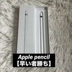 ジャンク】Apple Pencil 第1世代 MK0C2J/A 付属品完備箱付 - メルカリ