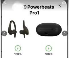 Power beats Pro Bluetooth 耳掛け ワイヤレス イヤホンのサムネイル