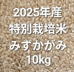 まんぷく応援米 福岡県産米 20kg米 20キロ 送料無料 光選別済み - メルカリ