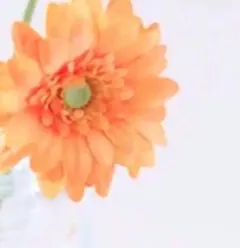 たまごかけごはん様専用R